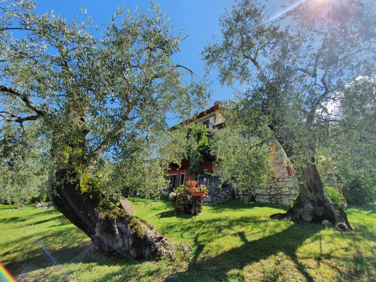 Casa Valenti Daire Brenzone sul Garda Dış mekan fotoğraf